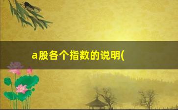 “a股各个指数的说明(a股各种指数解读)”/