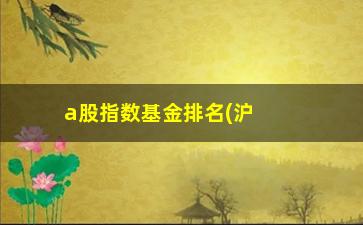 “a股指数基金排名(沪深300指数基金代码)”/