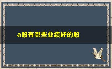 “a股有哪些业绩好的股票(a股业绩排名前十的是哪些公司)”/