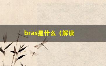 “bras是什么（解读bras的定义和作用）”/