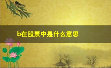 “b在股票中是什么意思是什么(股票积是什么意思是什么)”/