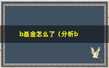 “b基金怎么了（分析b基金近期走势和可能的影响因素）”/