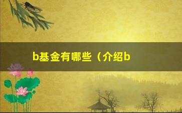 “b基金有哪些（介绍b基金的品种和投资步骤）”/