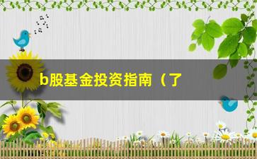 “b股基金投资指南（了解b股基金的投资方法和注意事项）”/