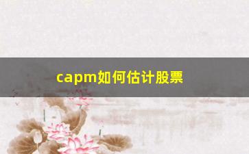 “capm如何估计股票价格(CAPM计算股票价格)”/