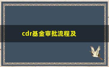 “cdr基金审批流程及注意事项”/