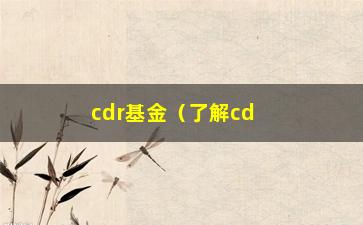 “cdr基金（了解cdr基金的投资风险和机会）”/