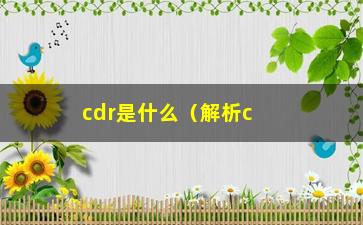 “cdr是什么（解析cdr文件格式及其应用场景）”/