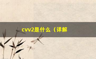 “cvv2是什么（详解***安全码cvv2）”/