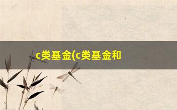 “c类基金(c类基金和a类基金的区别)”/