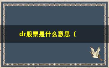 “dr股票是什么意思（解读dr股票的含义和特点）”/