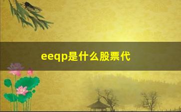 “eeqp是什么股票代码(股票代码是什么意思)”/