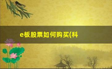 “e板股票如何购买(科创板股票购买)”/