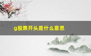 “g股票开头是什么意思(股票xr开头是什么意思)”/