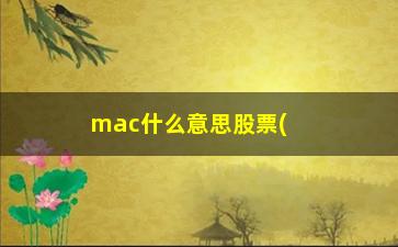 “mac什么意思股票(bs点在股票里什么意思)”/