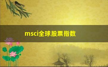 “msci全球股票指数(全球股票指数排名)”/