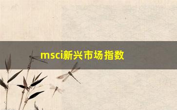 “msci新兴市场指数（了解新兴市场指数的投资机会）”/