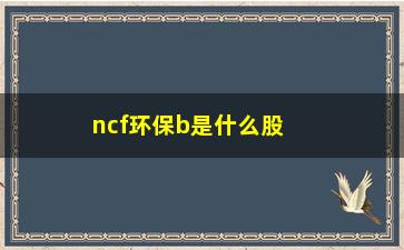 “ncf环保b是什么股票”/