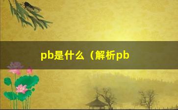 “pb是什么（解析pb的含义和用途）”/