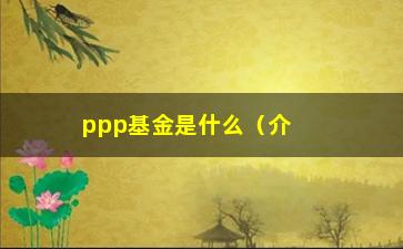 “ppp基金是什么（介绍公私合作模式中的ppp基金）”/