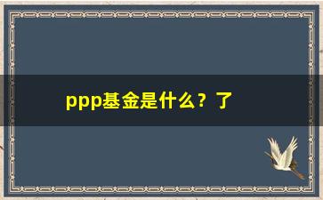 “ppp基金是什么？了解ppp基金的投资方式和风险”/