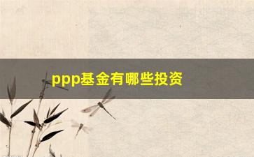 “ppp基金有哪些投资方向和风险分析”/