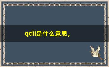 “qdii是什么意思，解析QDII基金的定义和特点”/