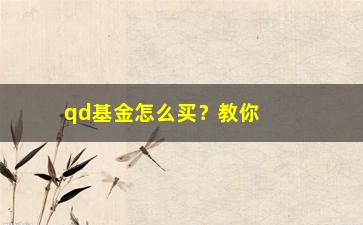 “qd基金怎么买？教你一步步操作”/