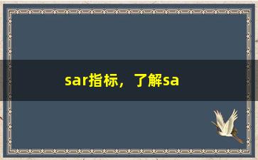 “sar指标，了解sar指标的含义及其应用场景”/