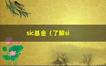 “sic基金（了解sic基金的投资步骤与优势）”/