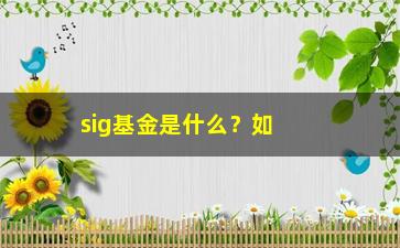 “sig基金是什么？如何选择sig基金？”/