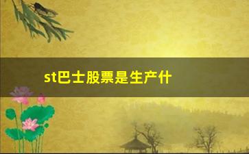 “st巴士股票是生产什么”/