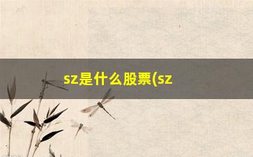 “sz是什么股票(sz是什么股票涨停是多少)”/