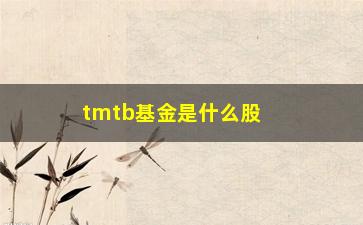 “tmtb基金是什么股票(股票跟基金的区别是什么)”/