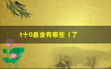 “t十0基金有哪些（了解t十0基金的产品种类及优势）”/