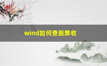 “wind如何查股票收益率(wind怎么查市场平均收益率)”/