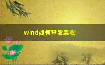 “wind如何查股票收益率(股票每日收益率怎么查)”/