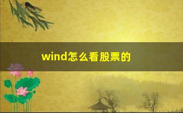 “wind怎么看股票的波动率(怎么看股价波动)”/