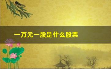 “一万元一股是什么股票(一万元一股的股票)”/