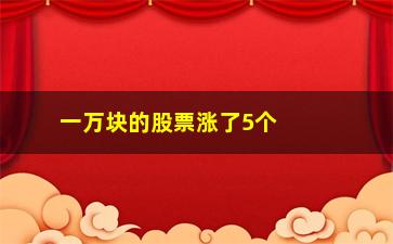 “一万块的股票涨了5个点(涨幅5个点怎么算)”/