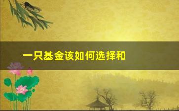 “一只基金该如何选择和投资？”/