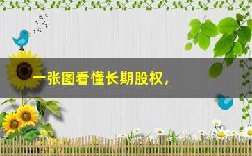 “一张图看懂长期股权，长期股权概念及其实现方式”/