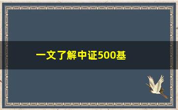 “一文了解中证500基金（这些基金能否助你获得高收益？）”/