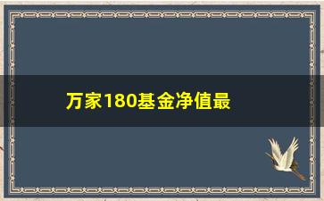 “万家180基金净值最新行情及分析”/