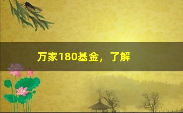 “万家180基金，了解万家180基金的投资策略和表现”/