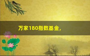 “万家180指数基金，了解万家180指数基金的投资策略和收益情况”/