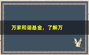 “万家和谐基金，了解万家和谐基金的投资策略和收益情况”/