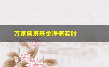 “万家蓝筹基金净值实时查询及走势分析”/