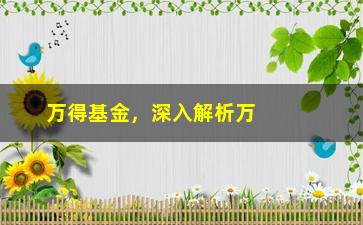 “万得基金，深入解析万得基金的投资策略和业绩表现”/