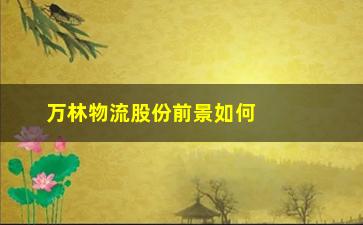 “万林物流股份前景如何(鸭鸭股份到底会不会借壳万林物流)”/